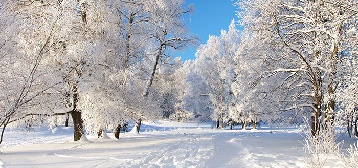 Winter Home Readiness Tips - Part 1
